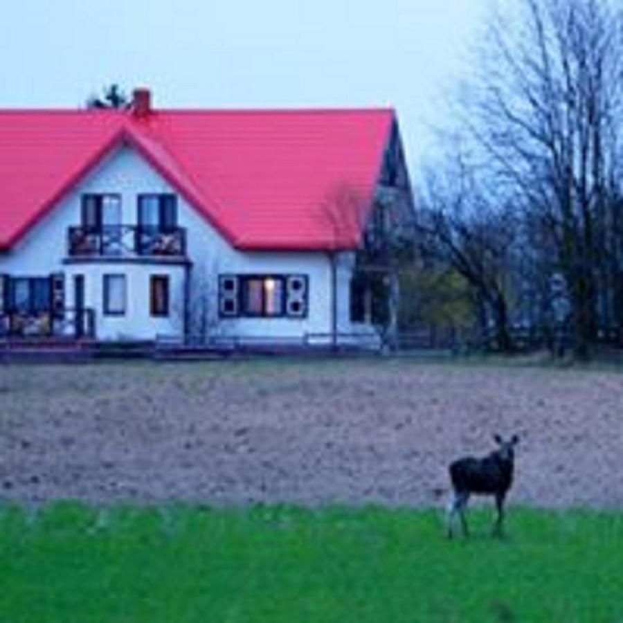 Losiowy Kat Goniadz Exterior photo